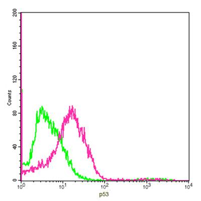 Mouse Monoclonal Antibody to p53 (Clone : 5E8A3)(Discontinued)