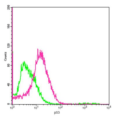 Mouse Monoclonal Antibody to p53 (Clone : 6F2D3)(Discontinued)