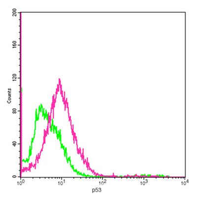 Mouse Monoclonal Antibody to p53 (Clone : 2G5F7)(Discontinued)