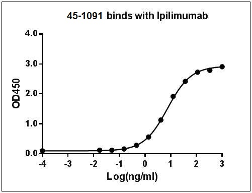 Mouse Monoclonal Antibody to Ipilimumab (Clone : 26B6H7D9)