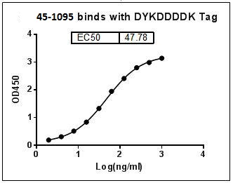 Rabbit Monoclonal Antibody to DYKDDDDK Tag (Clone : 114F12C8)