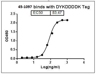 Biotinylated Rabbit Monoclonal Antibody to DYKDDDDK Tag (Clone : 114F12C8)