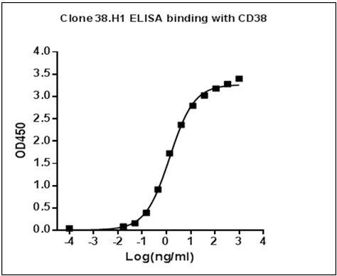 Mouse Monoclonal Antibody to Human CD38 (Clone : 38.H1) (Discontinued)