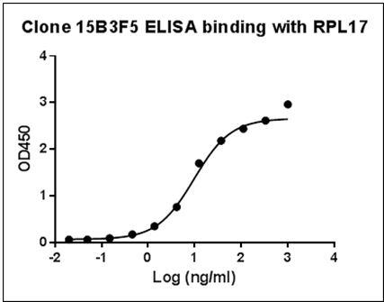 Mouse Monoclonal Antibody to Human RPL17 (Clone : 15B3F5)(Discontinued)