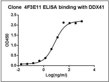 Mouse Monoclonal Antibody to Human DDX41 (Clone : 4F3E11)(Discontinued)