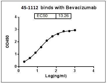 Rabbit polyclonal Antibody to Bevacizumab/Avastin