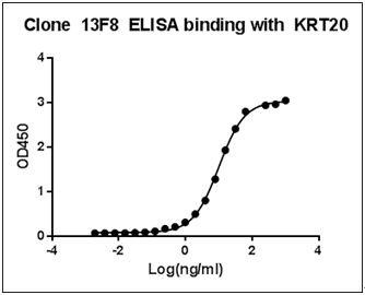 Mouse Monoclonal Antibody to Human KRT20 (Clone : 13F8)(Discontinued)