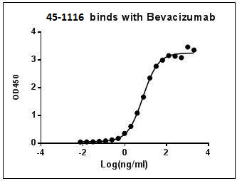 Rabbit Monoclonal Antibody to Bevacizumab/Avastin (Clone : 30E1)