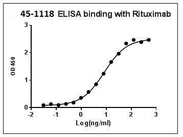 Rabbit Polyclonal Antibody to Rituximab /Rituxan