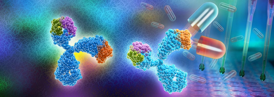 Recombinant Biosimilar Antibodies