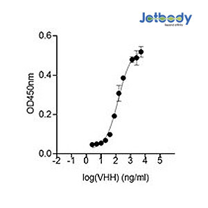 Anti-EGFR VHH antibody