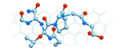 Peptide Inhibitors