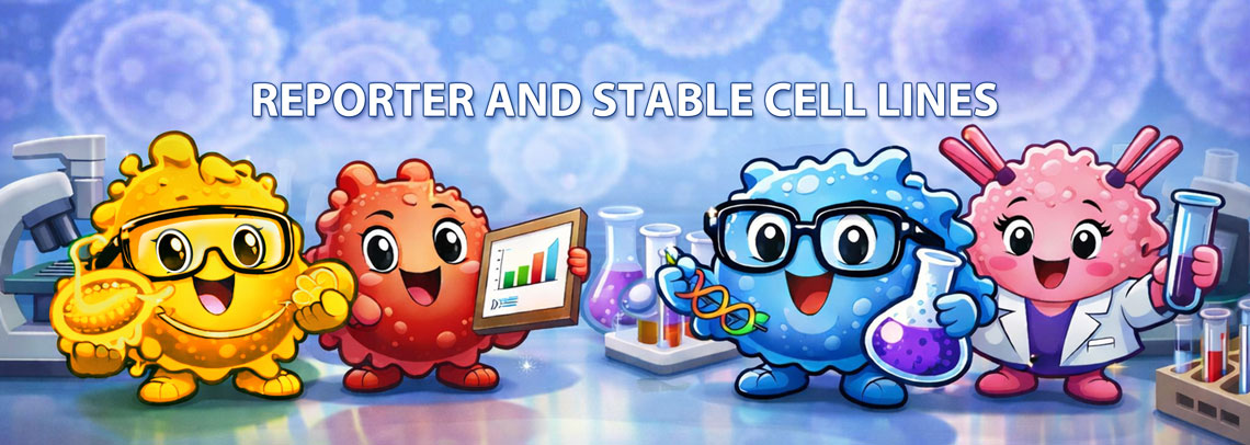 Reporter-n-Stable-Cell-Lines