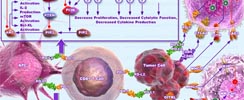 Immune Checkpoint Signaling in Cancer