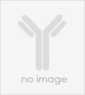 PE-conjugated Anti-IL21 antibody(11F1), IgG1 Chimeric mAb